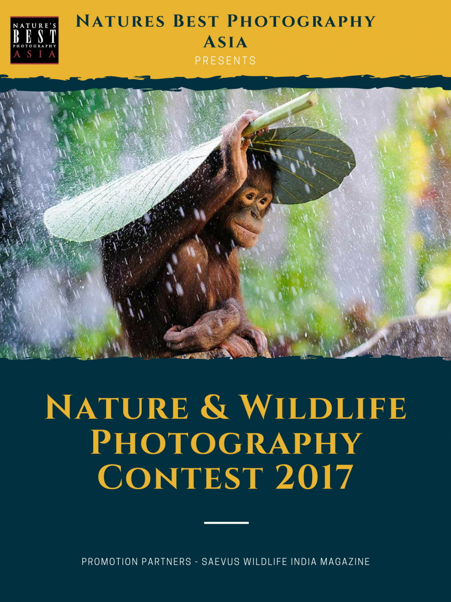 Natures Best Photography Asia Contest 2017
